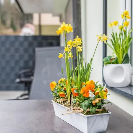 Rennbaechle * Bad Wildbad